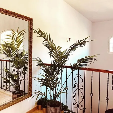 With Private Swimming Pool And Boules Court 40 Minutes From M Laga Villa Málaga